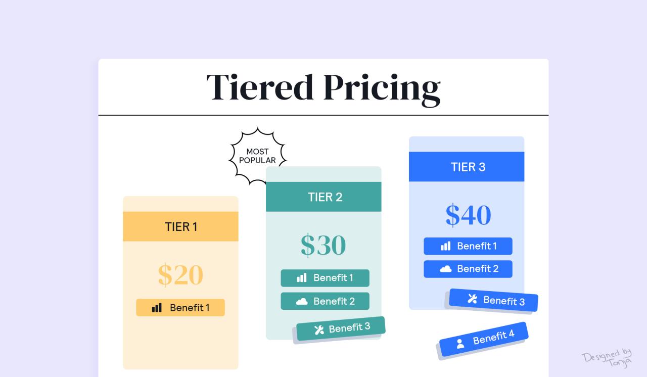 Tiered Pricing: What It Is and How to Use It Tiered Pricing: What It Is and How to Use It