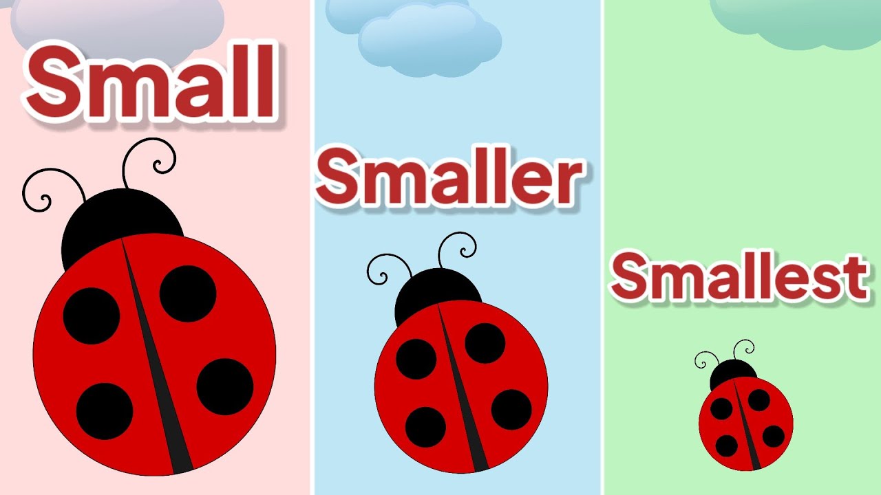 Small Smaller Smallest || Compare Sizes || Kindergarten Lessons || Math ... Small Smaller Smallest || Compare Sizes || Kindergarten Lessons || Math ...