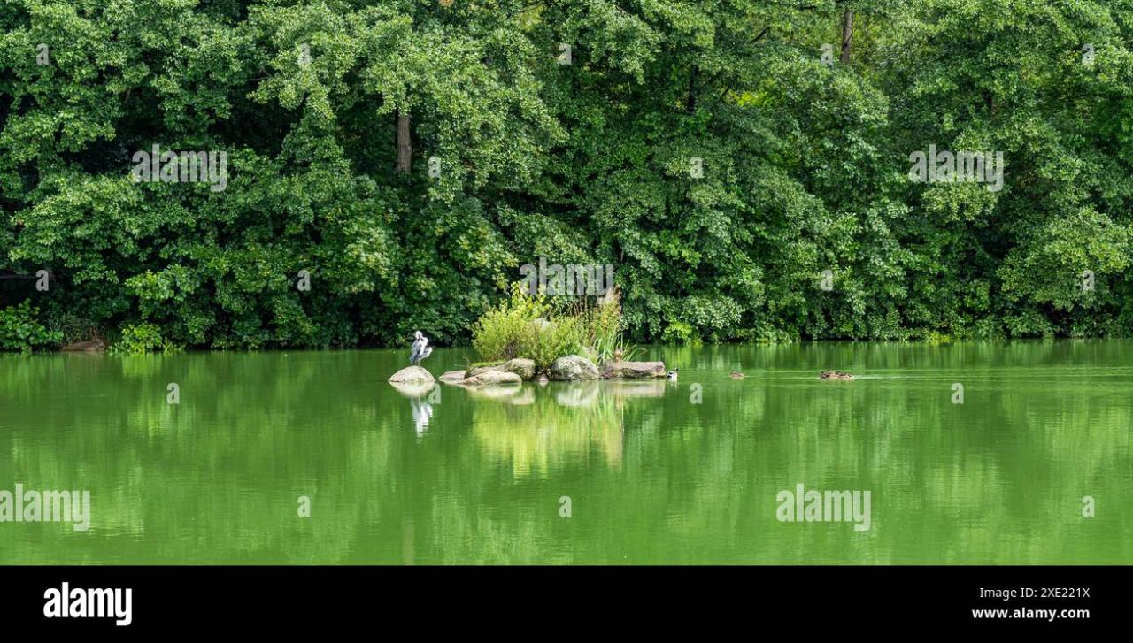 Small island in reservoir hi-res stock photography and images - Alamy Small island in reservoir hi-res stock photography and images - Alamy