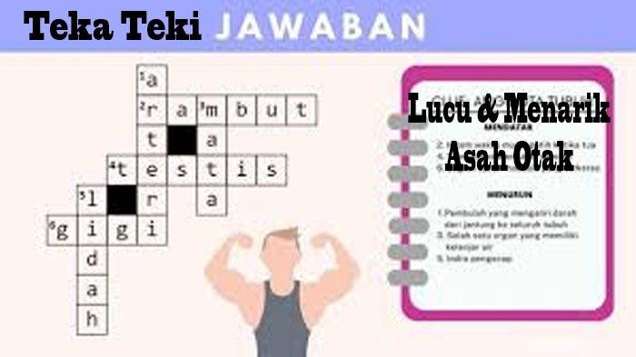 Teka-Teki Pintar dari Hongaria yang Mengasah Otak