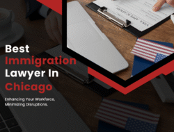 Ranking Immigration Lawyer Europe Expert Insights