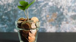 Cost Bankruptcy Filing USA A Comprehensive Guide
