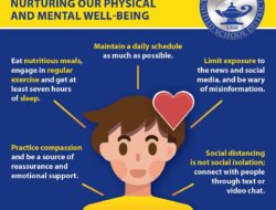 Tips Flooring Options For A Stylish And Functional Home