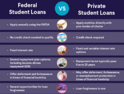 Premium Student Loans